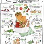 Illustration, Snack, Food, Wrap, Gemüde, vegan, Mittag, nachhaltig, Verbraucherzentrale